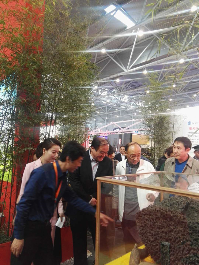 凯时KB88·(中国区)官方网站