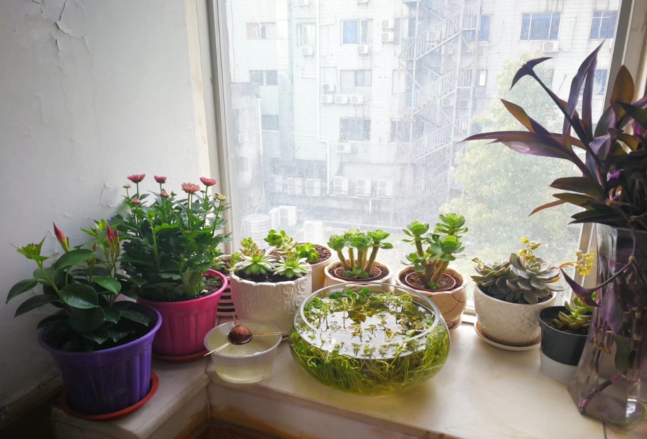 凯时KB88·(中国区)官方网站