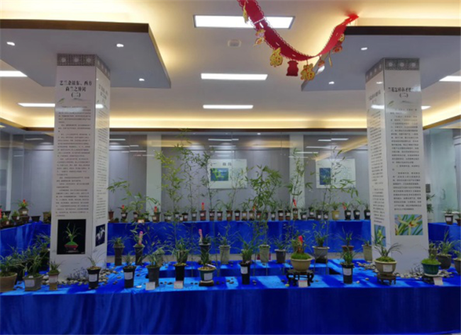 凯时KB88·(中国区)官方网站