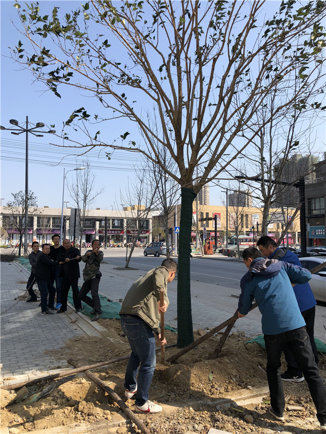 凯时KB88·(中国区)官方网站