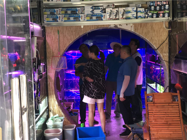 凯时KB88·(中国区)官方网站