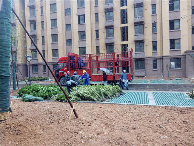 凯时KB88·(中国区)官方网站