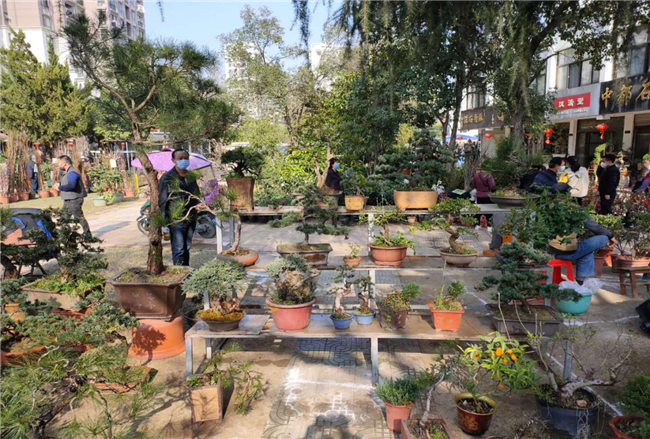 凯时KB88·(中国区)官方网站