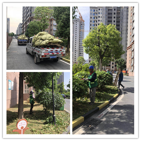 凯时KB88·(中国区)官方网站