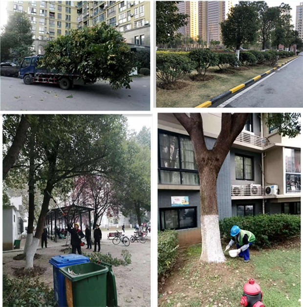 凯时KB88·(中国区)官方网站