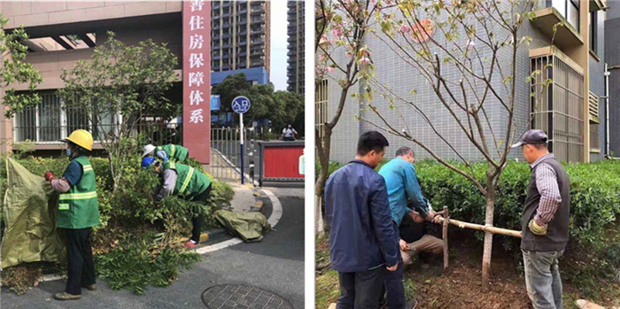 凯时KB88·(中国区)官方网站