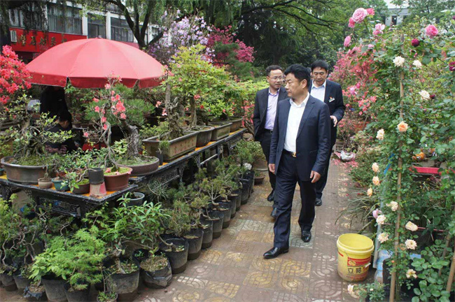 凯时KB88·(中国区)官方网站
