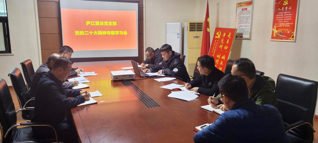 凯时KB88·(中国区)官方网站
